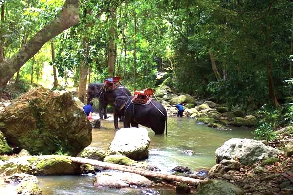 Čo robiť na Koh Samui 7